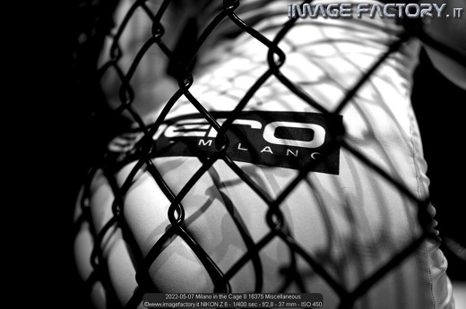 2022-05-07 Milano in the Cage 8 16375 Miscellaneous